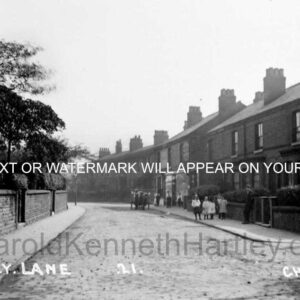 IMG_2357-SMEDLEY-LANE-a